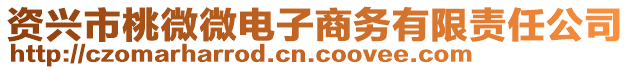 資興市桃微微電子商務(wù)有限責(zé)任公司