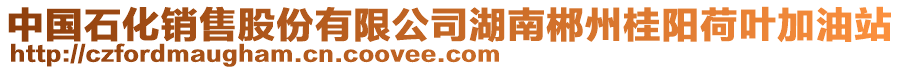 中國石化銷售股份有限公司湖南郴州桂陽荷葉加油站