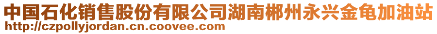 中國(guó)石化銷售股份有限公司湖南郴州永興金龜加油站