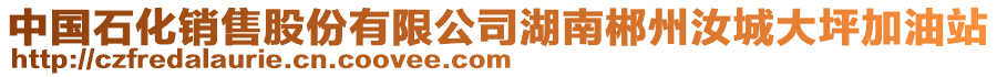 中國(guó)石化銷售股份有限公司湖南郴州汝城大坪加油站