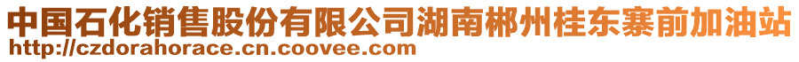 中國石化銷售股份有限公司湖南郴州桂東寨前加油站