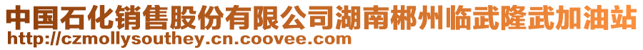 中國石化銷售股份有限公司湖南郴州臨武隆武加油站