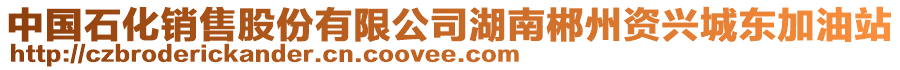 中國石化銷售股份有限公司湖南郴州資興城東加油站