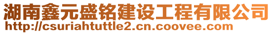 湖南鑫元盛銘建設(shè)工程有限公司