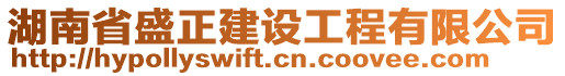 湖南省盛正建設(shè)工程有限公司