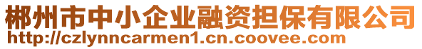 郴州市中小企業(yè)融資擔保有限公司