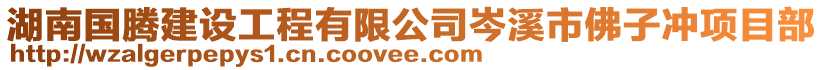 湖南國騰建設工程有限公司岑溪市佛子沖項目部