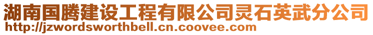 湖南國騰建設工程有限公司靈石英武分公司