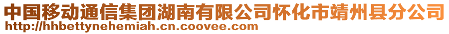 中國移動通信集團湖南有限公司懷化市靖州縣分公司