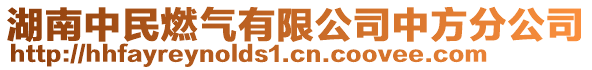 湖南中民燃气有限公司中方分公司