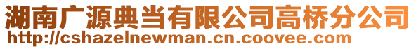 湖南廣源典當(dāng)有限公司高橋分公司