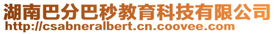 湖南巴分巴秒教育科技有限公司