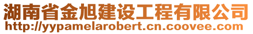 湖南省金旭建設(shè)工程有限公司