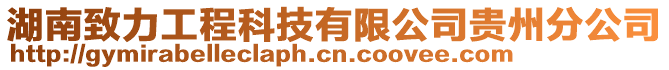 湖南致力工程科技有限公司貴州分公司