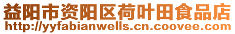 益陽市資陽區(qū)荷葉田食品店