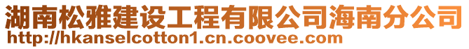 湖南松雅建設(shè)工程有限公司海南分公司