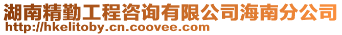 湖南精勤工程咨詢有限公司海南分公司