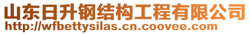 山東日升鋼結(jié)構(gòu)工程有限公司