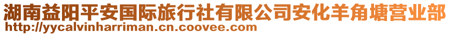 湖南益陽平安國際旅行社有限公司安化羊角塘營業部