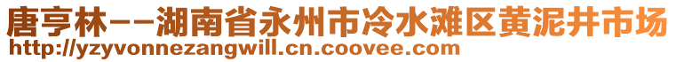 唐亨林--湖南省永州市冷水灘區(qū)黃泥井市場