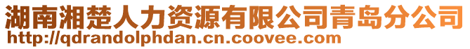 湖南湘楚人力資源有限公司青島分公司