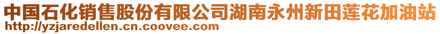 中國(guó)石化銷(xiāo)售股份有限公司湖南永州新田蓮花加油站