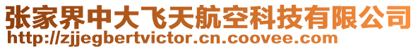 張家界中大飛天航空科技有限公司