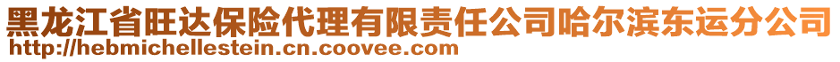 黑龍江省旺達(dá)保險(xiǎn)代理有限責(zé)任公司哈爾濱東運(yùn)分公司