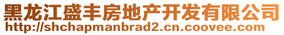 黑龍江盛豐房地產(chǎn)開(kāi)發(fā)有限公司