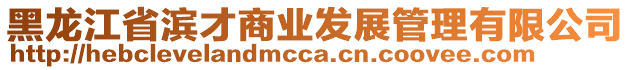 黑龍江省濱才商業(yè)發(fā)展管理有限公司