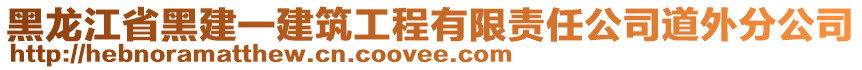 黑龍江省黑建一建筑工程有限責(zé)任公司道外分公司