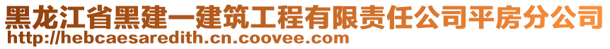 黑龍江省黑建一建筑工程有限責(zé)任公司平房分公司