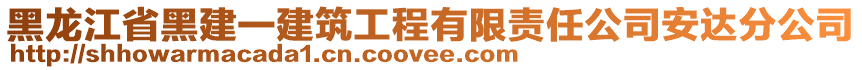 黑龍江省黑建一建筑工程有限責(zé)任公司安達(dá)分公司