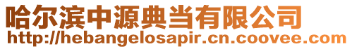 哈爾濱中源典當(dāng)有限公司