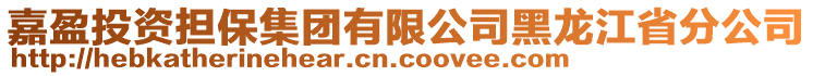 嘉盈投資擔(dān)保集團有限公司黑龍江省分公司