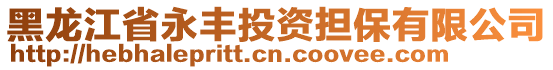 黑龍江省永豐投資擔(dān)保有限公司