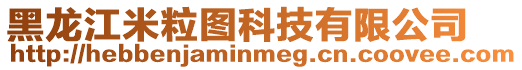 黑龍江米粒圖科技有限公司