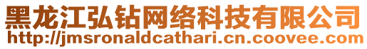 黑龍江弘鉆網絡科技有限公司