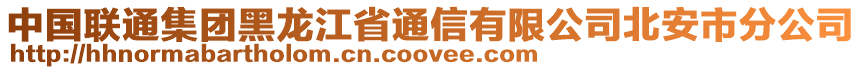 中國聯(lián)通集團(tuán)黑龍江省通信有限公司北安市分公司