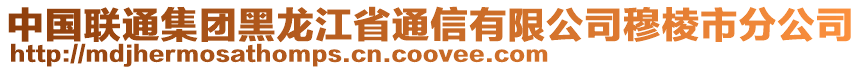 中國聯(lián)通集團(tuán)黑龍江省通信有限公司穆棱市分公司