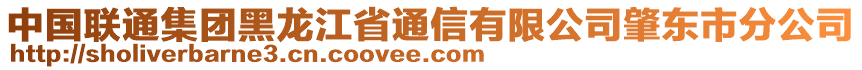 中國聯(lián)通集團黑龍江省通信有限公司肇東市分公司