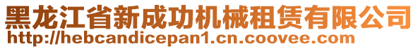 黑龍江省新成功機(jī)械租賃有限公司