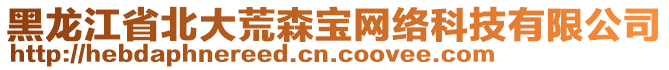 黑龍江省北大荒森寶網絡科技有限公司