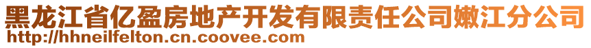 黑龍江省億盈房地產(chǎn)開(kāi)發(fā)有限責(zé)任公司嫩江分公司