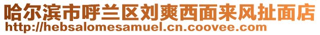 哈爾濱市呼蘭區(qū)劉爽西面來(lái)風(fēng)扯面店