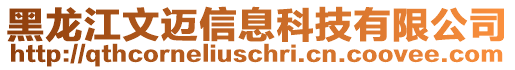 黑龍江文邁信息科技有限公司