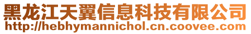 黑龍江天翼信息科技有限公司