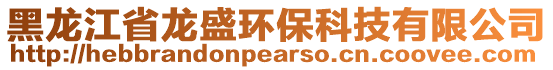 黑龍江省龍盛環保科技有限公司