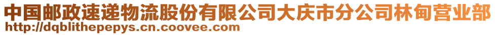 中國郵政速遞物流股份有限公司大慶市分公司林甸營業(yè)部