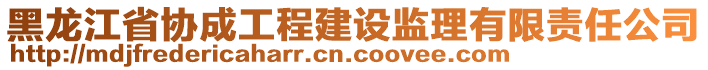 黑龍江省協(xié)成工程建設(shè)監(jiān)理有限責(zé)任公司